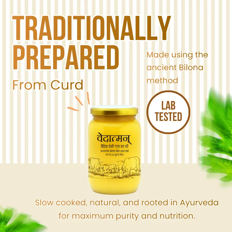 Traditional curd used for A2 cow desi ghee 1 litre bilona method