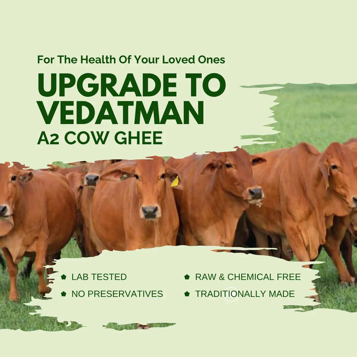 Upgrade to Vedatman A2 cow desi ghee 1 litre for premium quality ghee