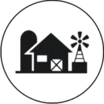 Vedatman A2 Ghee Made in Farms