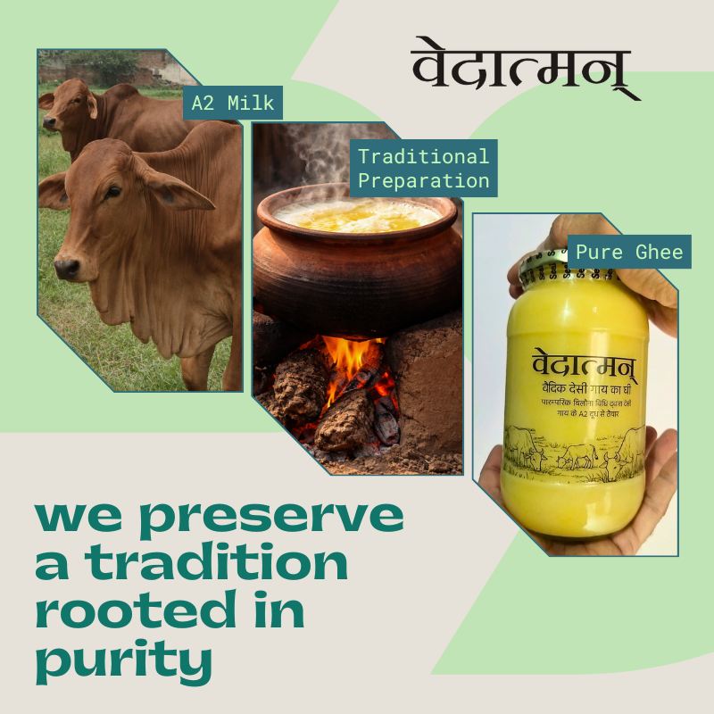 Traditional Bilona ghee preparation – curd churning and slow heating process